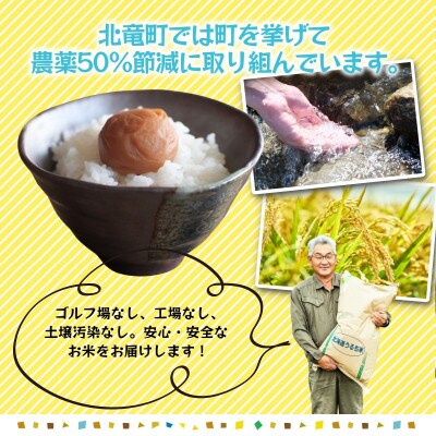 【令和7年産】ななつぼし10kg 農薬50%節減栽培米  北海道北竜町産