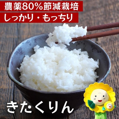 【令和7年産】きたくりん 10kg 農薬80%節減栽培米  北海道北竜町産