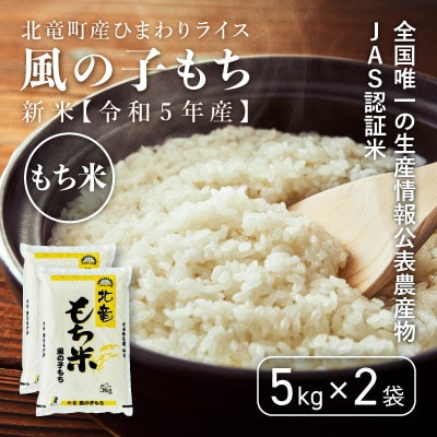 【令和5年産】風の子もち 10kg もち米 北海道北竜町産【1411-R5】
