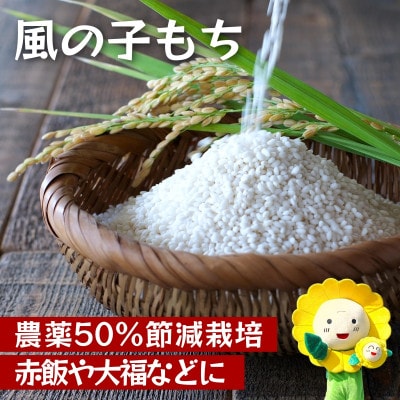【令和7年産】風の子もち 10kg もち米 農薬50%節減栽培米 北海道北竜町産
