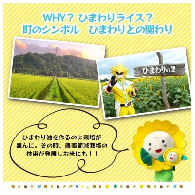 【令和7年産】風の子もち 10kg もち米 農薬50%節減栽培米 北海道北竜町産