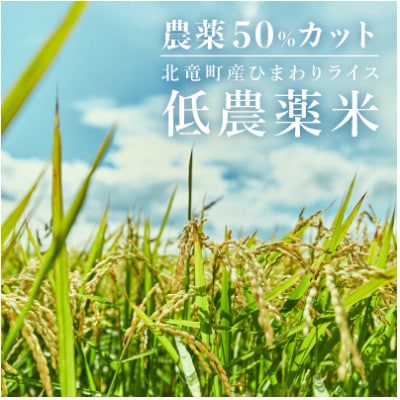 【令和5年産】ゆめぴりか 10kg 低農薬米 北海道北竜町産【1511-R5】