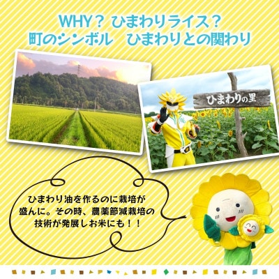 【令和7年産】ゆめぴりか 10kg 農薬50%節減栽培米  北海道北竜町産