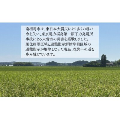 南相馬のお漬物詰合せ|おつまみ 漬物 黒胡椒 クリームチーズ からみ漬 黒潮海苔店