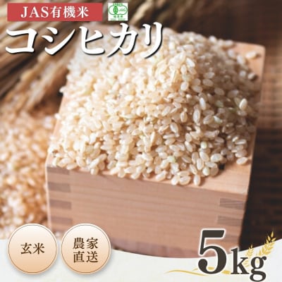 JAS有機米 コシヒカリ 玄米 5kg 令和7年産 根本有機農園
