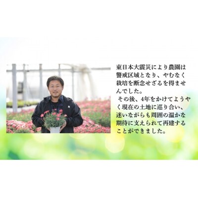 【先行予約】アジサイ 空海 5号 青系 | 紫陽花 あじさい ギフト 根本園芸 aj001-af