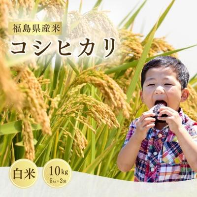 【先行予約】令和7年産 新米 コシヒカリ 精米 白米 10kg (5kg×2袋)