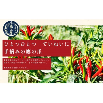小高ビーフカレー(大辛)2パック レトルトカレー 小高工房 aq001-aa
