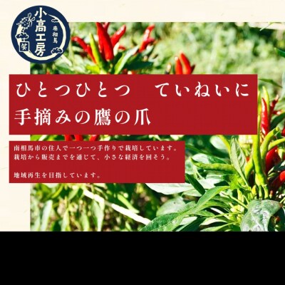 小高ビーフカレー(大辛)4パック レトルトカレー 小高工房 aq001-ac