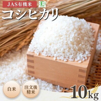 JAS有機米 コシヒカリ 白米 10kg 令和7年産  根本有機農園