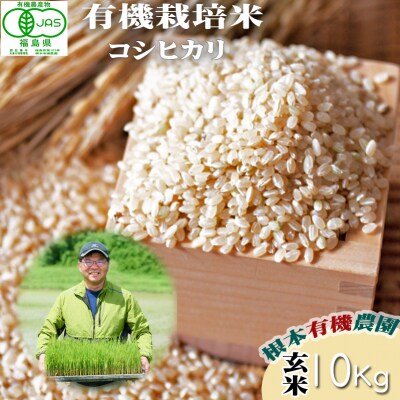 愛知県産 信長米(あいちのかおり)玄米5kg×2袋 | 愛知県清須市