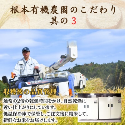 JAS有機米 天のつぶ 玄米 2kg 令和7年産 根本有機農園