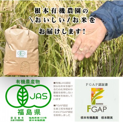 【令和6年産】南相馬 根本有機農園 JAS有機米 天のつぶ 10kg 玄米 【3004701】