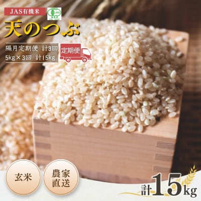 【先行予約 隔月定期便】 JAS有機米 天のつぶ 玄米 5kg×3回 【53870-002-08】
