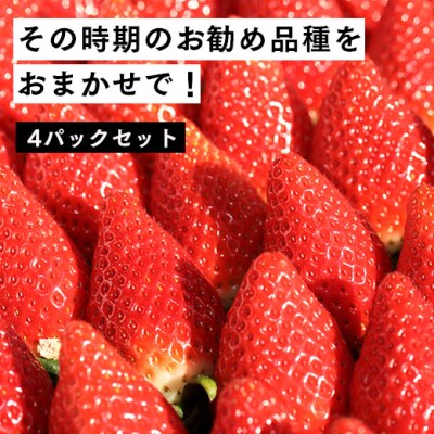 【数量限定】伊賀いちご園のおまかせ4P【1800901】