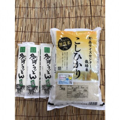 令和7年産米 無洗米 コシヒカリ5kg+多珂うどん(太) 5束セット【53845-003-01】