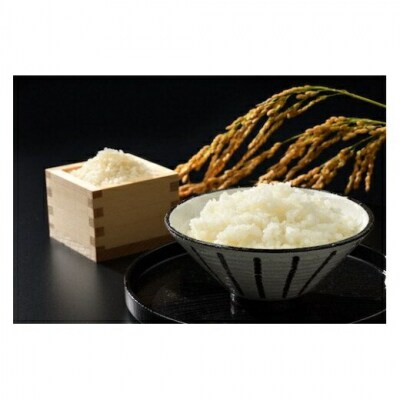 令和7年産米 無洗米 コシヒカリ5kg+多珂うどん(太) 5束セット【53845-003-01】
