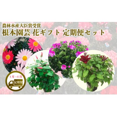 【先行受付】【花ギフト定期便】 根本園芸 花ギフト(1?4月毎月お届け)定期便セット【10010】