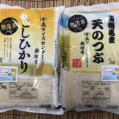 【令和6年産】【無洗米】コシヒカリ5kg+天のつぶ5kgセット【0500101】