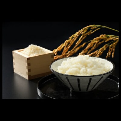 令和7年産米 無洗米 天のつぶ 10kg(5kg×2袋【53845-002-03】
