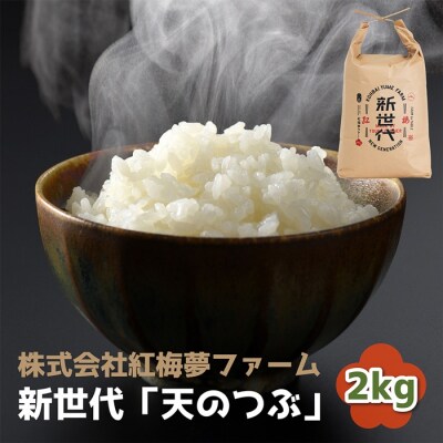 天のつぶ 新世代 白米 2kg | 令和7年産 2025年産 精米 米 2キロ 