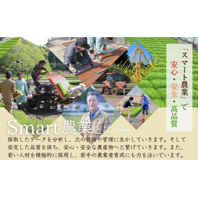 天のつぶ「新世代」 白米 5kg | 令和7年産 2025年産 米 5キロ 紅梅夢ファーム