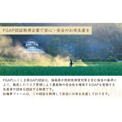 天のつぶ「新世代」 白米 5kg | 令和7年産 2025年産 米 5キロ 紅梅夢ファーム