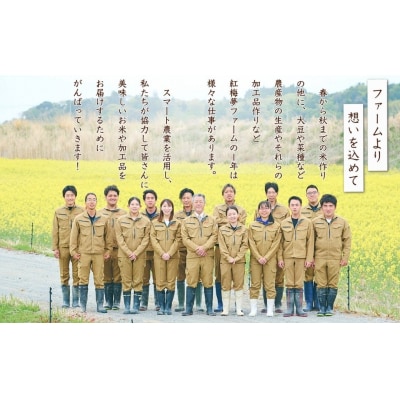 天のつぶ「新世代」 白米 5kg | 令和7年産 2025年産 米 5キロ 紅梅夢ファーム