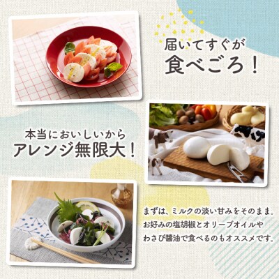 手作りモッツァレラチーズ　福島　南相馬市産【6100101】