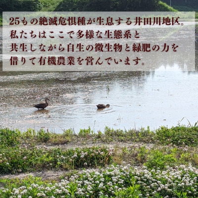 【令和8年産米 先行予約】毎月定期便 にじのきらめき 白米 5kg×3回 |JAS有機米 みさき未来