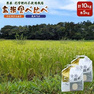 玄米2品種食べ比べ10kg「にじのきらめき」「天のつぶ」各5kg【70017】