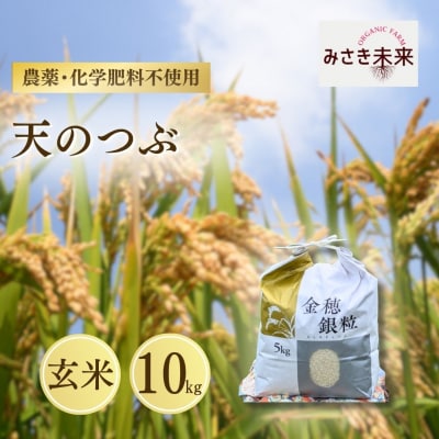 8年産予約 天のつぶ 玄米 10kg 栽培期間中農薬不使用 みさき未来 co025-ab