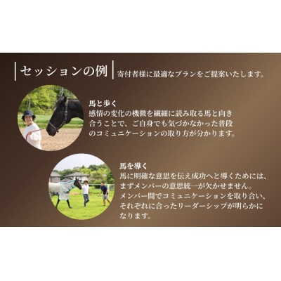 ホースミラーリングセッション 1名様 乗馬 自己内省 チームビルド ct001-aa