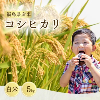 令和7年産 コシヒカリ 白米 5kg | 米 こめ コメ 大粒 福島県 サムランド