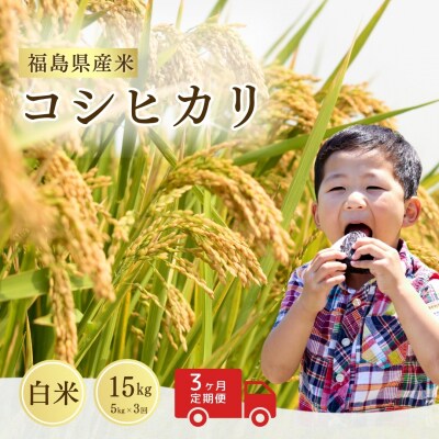 �y3��������ցz �R�V�q�J��15kg (5kg×3��)  | �� ���� �嗱 ������ �T�������h