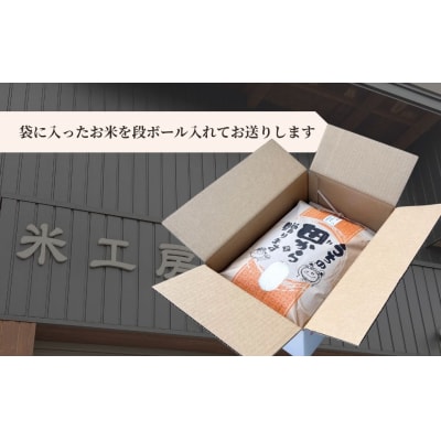 【令和6年産】福島県産コシヒカリ 白米 10kg×1袋  精米 南相馬産