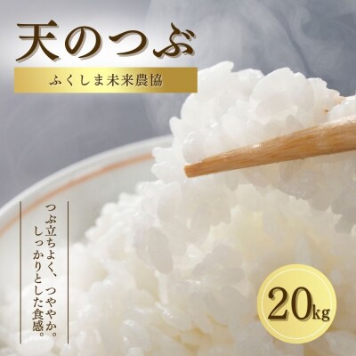 【先行受付】白米 20kg 天のつぶ 令和7年産 お米 JAふくしま未来【53862-001-02】