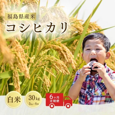 【先行予約】【定期便】コシヒカリ 白米 30kg (5kg×6回)【149448-001-04】