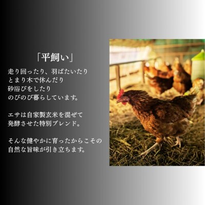 無塩せき ひよりハーブウインナー 750g (150g×5袋) | 着色料不使用 みさき未来