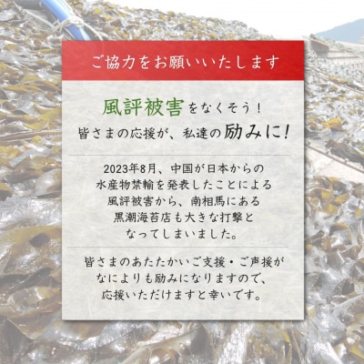 韓国海苔 プレミアム 480枚 60袋(6袋×10個)【53841-004-01】