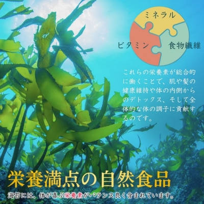 韓国海苔 プレミアム 1440枚 180袋(6袋×30個)【53841-004-02】