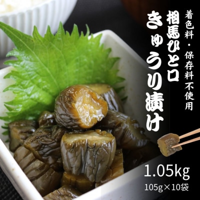 相馬ひと口きゅうり漬 1,050g (105g×10袋) 香の蔵 al001-aa