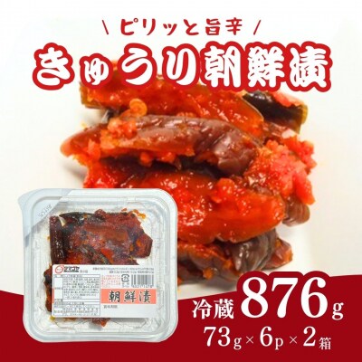 生カップきゅうり朝鮮漬 876g(73g×6袋)【53852-010-01】