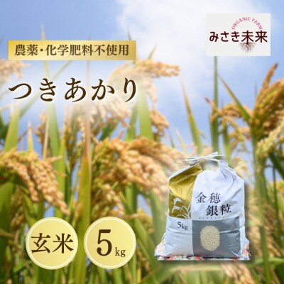8年産予約 つきあかり 玄米 5kg 栽培期間中農薬不使用 みさき未来 co027-aa