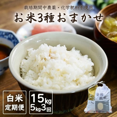 【定期便】白米おまかせ3品種 令和7年産 新米 5kg×3か月【121237-014-01】