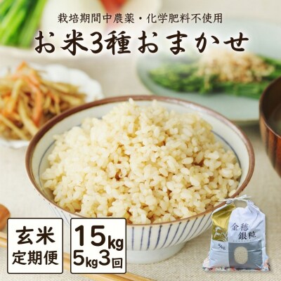 【定期便】白米おまかせ3品種 令和7年産 5kg×3か月 | コメ 米5kg 大粒 みさき未来
