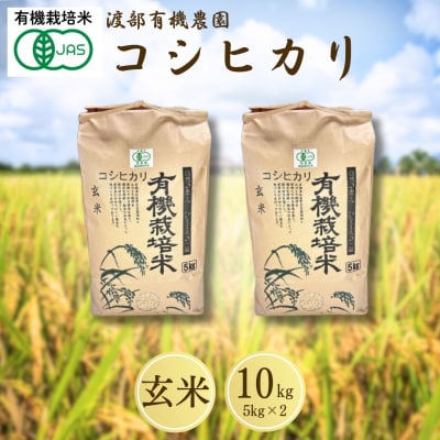JAS有機米 コシヒカリ 玄米 10kg(5kg×2袋) 令和7年産 新米 | 有機米 渡部有機農園