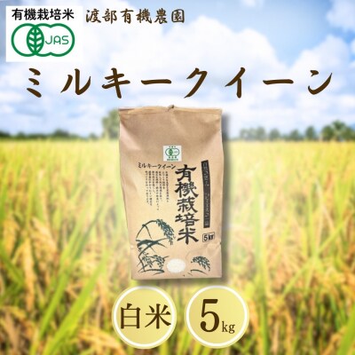 JAS�L�@�� �~���L�[�N�C�[�� ���� 5kg �ߘa7�N�Y �V�� | �L�@�� �ߘa7�N �n���L�@�_��