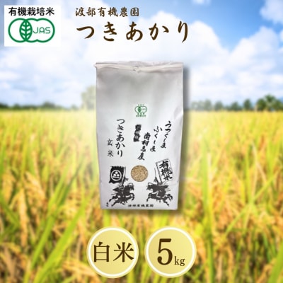 JAS有機米 つきあかり 白米 5kg 令和7年産 新米 | JAS 有機米 令和7年 渡部有機農園