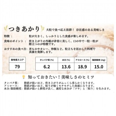 JAS有機米 つきあかり 白米 5kg 令和8年産 JAS 有機米 渡部有機農園 cn003-aa